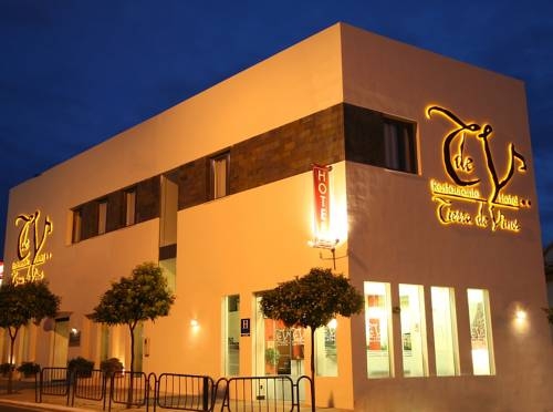 Imagen general del Hotel Tierra de Vinos. Foto 16