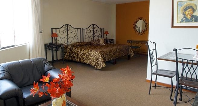 Imagen de la habitación del Hotel Tierrasur. Foto 4