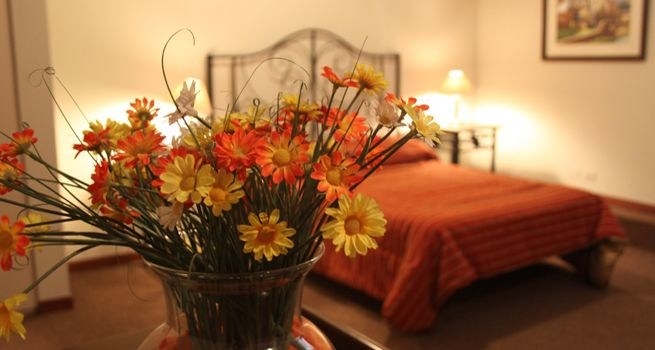 Imagen de la habitación del Hotel Tierrasur. Foto 8