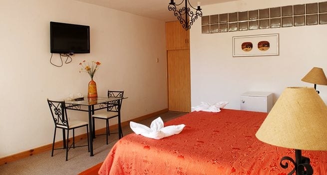 Imagen de la habitación del Hotel Tierrasur. Foto 11
