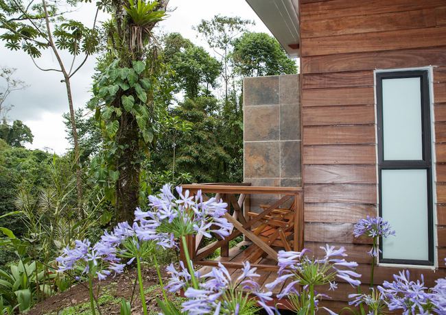 Imagen de la habitación del Hotel Tifakara by the Waterfall. Foto 18