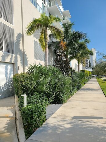 Imagen general del Hotel Tiffany House Condominium. Foto 1