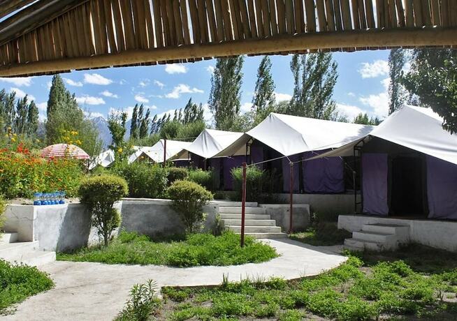 Imagen general del Hotel Tiger Camp. Foto 5