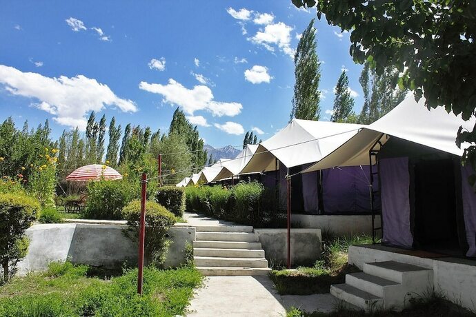 Imagen general del Hotel Tiger Camp. Foto 9