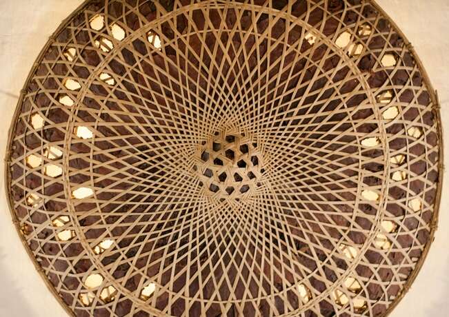 Imagen general del Hotel Tigertops Karnali Lodge. Foto 4