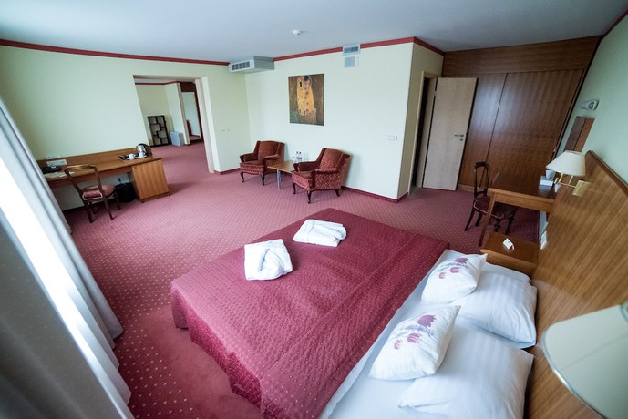 Imagen de la habitación del Hotel Tigra. Foto 3
