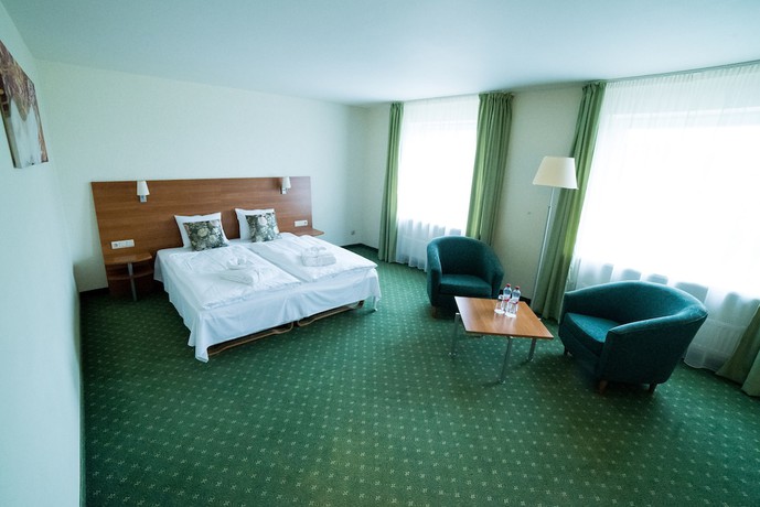 Imagen de la habitación del Hotel Tigra. Foto 18