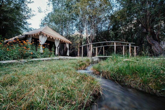 Imagen de la habitación del Hotel Tih Ladakh Summer Camp-nubra. Foto 18