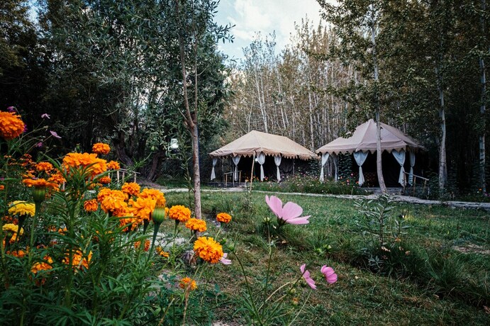 Imagen de los exteriores del Hotel Tih Ladakh Summer Camp-nubra. Foto 28