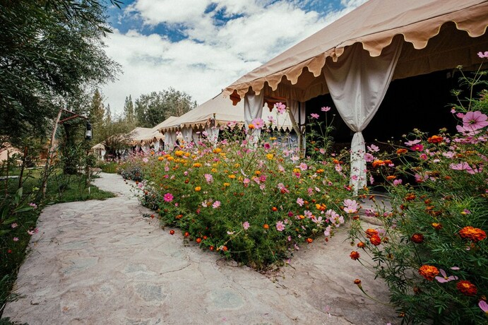 Imagen de los exteriores del Hotel Tih Ladakh Summer Camp-nubra. Foto 32
