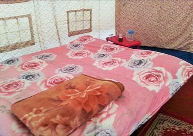 Imagen de la habitación del Hotel Tih Pangong Delight Camps and Cottages. Foto 31