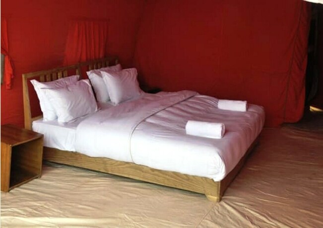 Imagen de la habitación del Hotel Tih Pangong Lake View Cottages and Camps. Foto 29