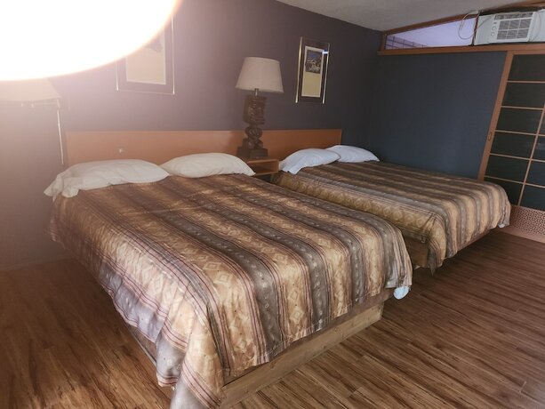 Imagen de la habitación del Hotel Tiki Village. Foto 20