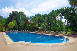 Imagen de la piscina del Hotel Tilajari Resort. Foto 3