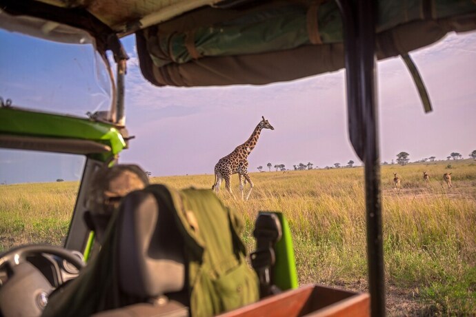 Imagen general del Hotel Tilenga Safari Lodge. Foto 14