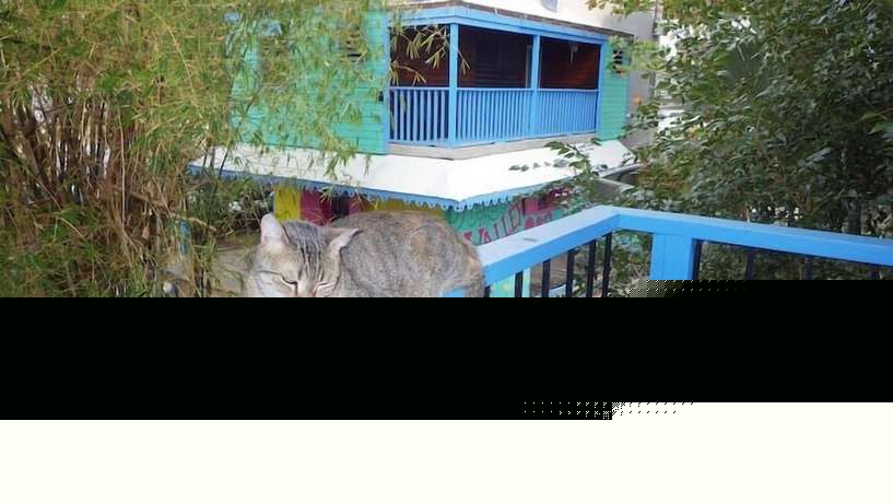 Imagen general del Hotel Tillett Gardens Guest House. Foto 1