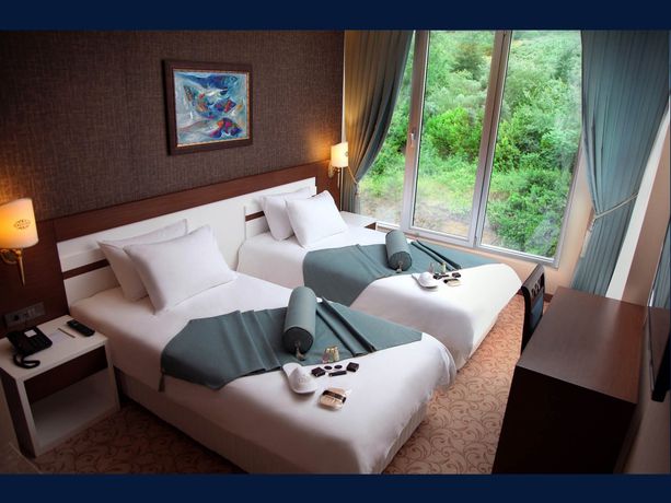 Imagen de la habitación del Hotel Tilya Resort. Foto 7