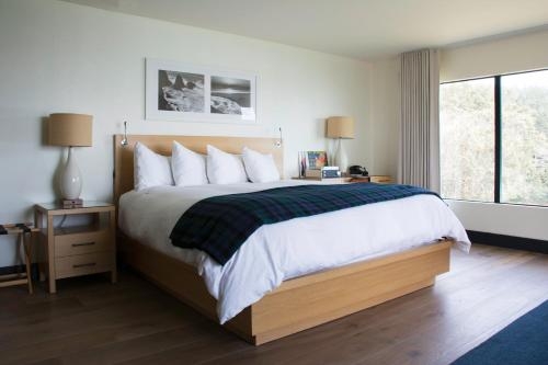 Imagen general del Hotel Timber Cove Resort. Foto 5