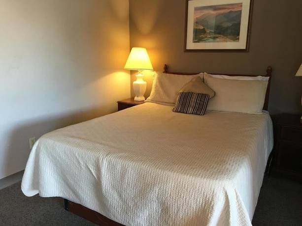 Imagen de la habitación del Hotel Timber Lodge Inn. Foto 7