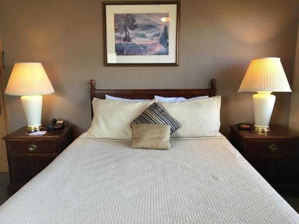 Imagen de la habitación del Hotel Timber Lodge Inn. Foto 13