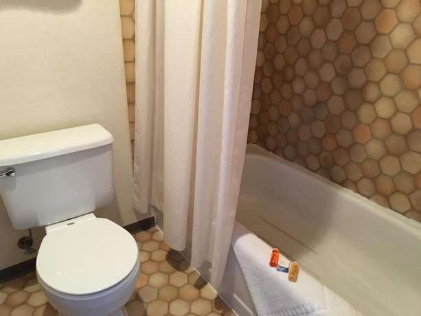 Imagen de la habitación del Hotel Timber Lodge Inn. Foto 15