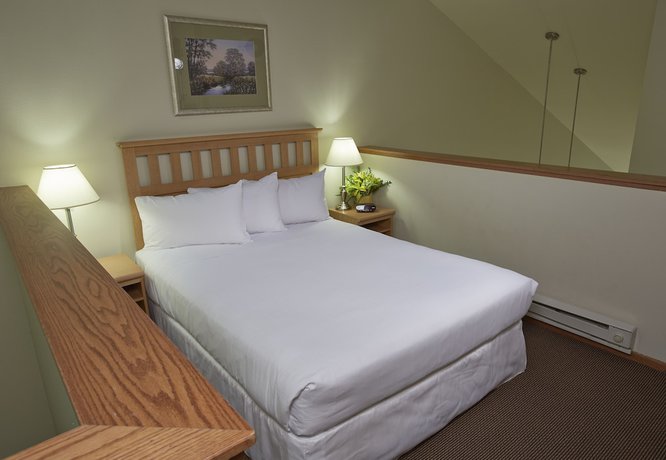 Imagen de la habitación del Hotel Timber Ridge Lodge And Waterpark. Foto 2