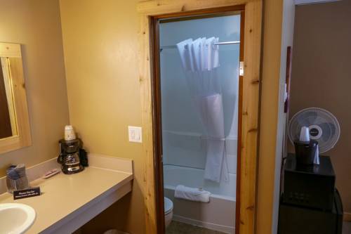 Imagen de la habitación del Hotel Timber Ridge Lodge. Foto 4