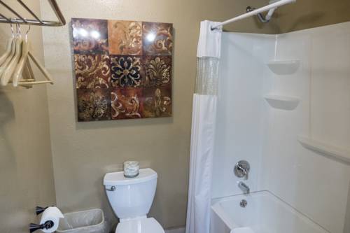 Imagen de la habitación del Hotel Timber Ridge Lodge. Foto 6