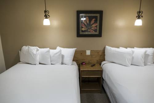 Imagen de la habitación del Hotel Timber Ridge Lodge. Foto 11