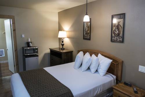 Imagen de la habitación del Hotel Timber Ridge Lodge. Foto 12