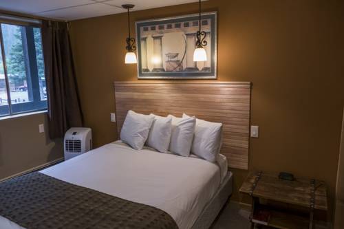 Imagen de la habitación del Hotel Timber Ridge Lodge. Foto 13