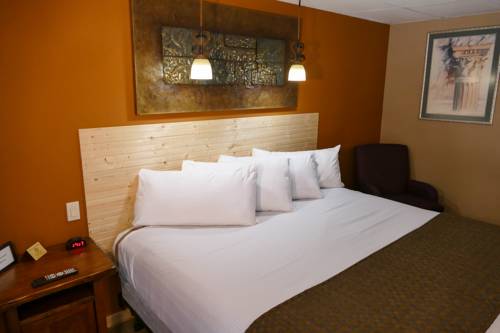 Imagen de la habitación del Hotel Timber Ridge Lodge. Foto 15