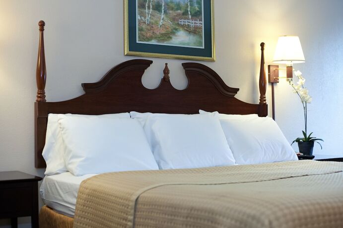 Imagen de la habitación del Hotel Timberlake Motel. Foto 14