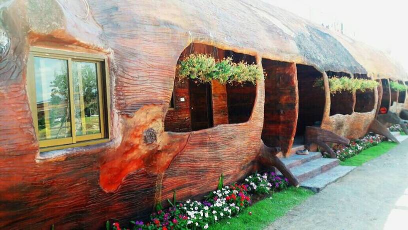 Imagen de la habitación del Hotel Timberland and Fruit Resort. Foto 22