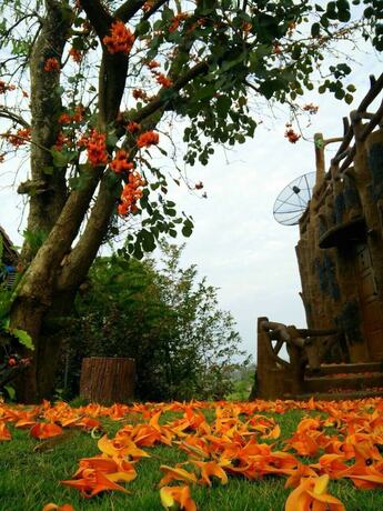 Imagen de los exteriores del Hotel Timberland and Fruit Resort. Foto 34