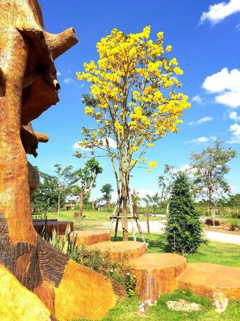 Imagen de los exteriores del Hotel Timberland and Fruit Resort. Foto 36