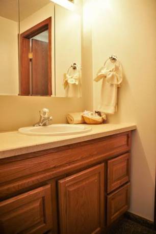 Imagen de la habitación del Hotel Timbers At Island Park Village Resort. Foto 4