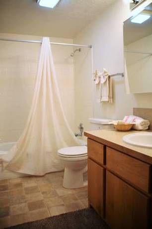 Imagen de la habitación del Hotel Timbers At Island Park Village Resort. Foto 14
