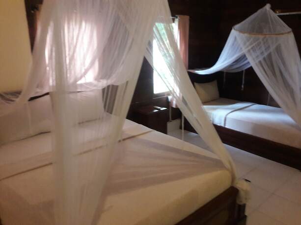 Imagen de la habitación del Hotel Timbool Bungalow. Foto 31