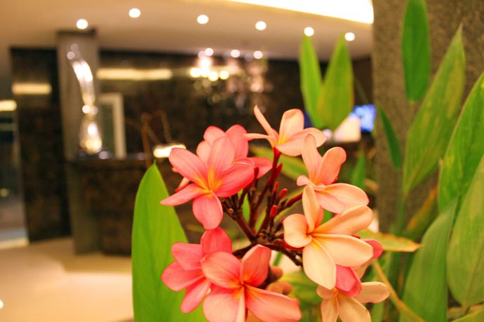 Imagen de los interiores del Hotel Time Nilai. Foto 14