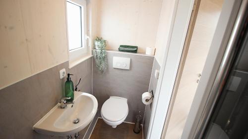 Imagen de la habitación del Hotel Tiny Herdt. Foto 15
