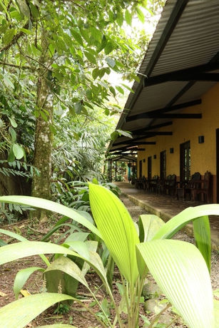 Imagen general del Hotel Tirimbina Rainforest Lodge. Foto 2