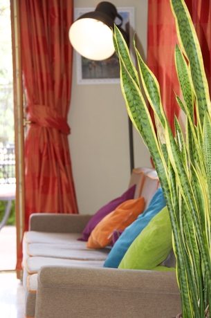 Imagen de los interiores del Hotel Tirrenia, Sorrento. Foto 19