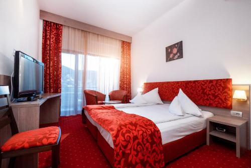 Imagen de la habitación del Hotel Tisa, Băile Olănești. Foto 15