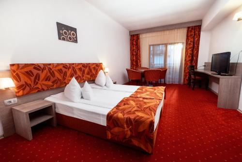 Imagen de la habitación del Hotel Tisa, Băile Olănești. Foto 16