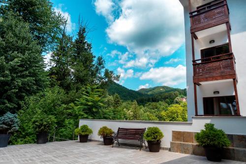 Imagen general del Hotel Tisa, Băile Olănești. Foto 4