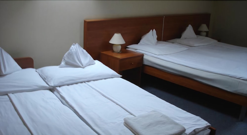 Imagen de la habitación del Hotel Tisza Alfa. Foto 4