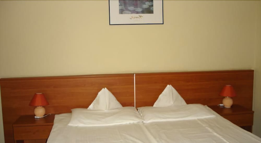 Imagen de la habitación del Hotel Tisza Alfa. Foto 6