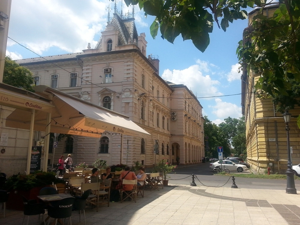 Imagen general del Hotel Tisza. Foto 2