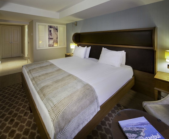 Imagen de la habitación del Hotel Titanic Comfort Sisli. Foto 6